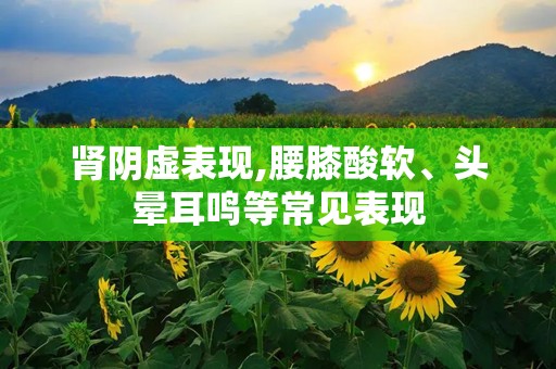 肾阴虚表现,腰膝酸软、头晕耳鸣等常见表现