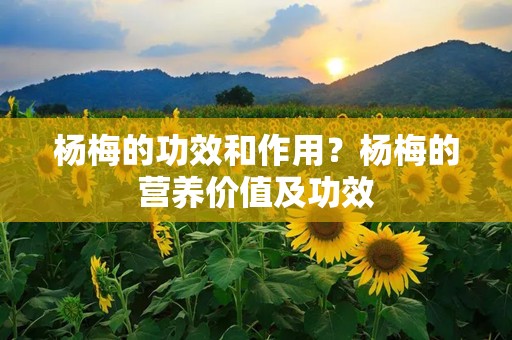 杨梅的功效和作用？杨梅的营养价值及功效