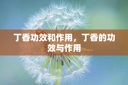 丁香功效和作用，丁香的功效与作用