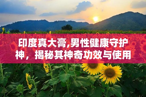印度真大膏,男性健康守护神，揭秘其神奇功效与使用指南”
