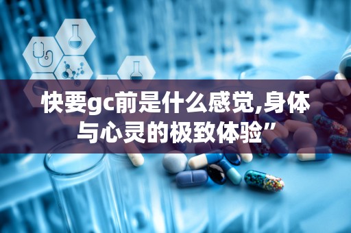 快要gc前是什么感觉,身体与心灵的极致体验”