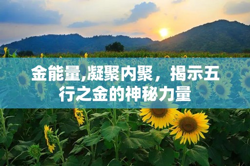 金能量,凝聚内聚，揭示五行之金的神秘力量