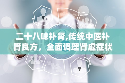 二十八味补肾,传统中医补肾良方，全面调理肾虚症状