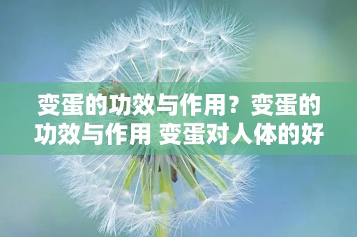 变蛋的功效与作用？变蛋的功效与作用 变蛋对人体的好处