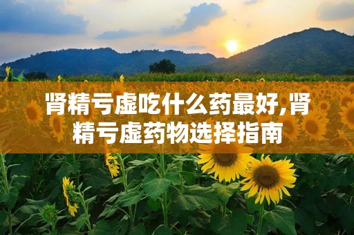 肾精亏虚吃什么药最好,肾精亏虚药物选择指南