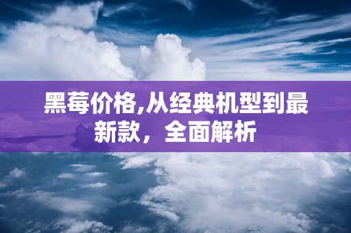 黑莓价格,从经典机型到最新款，全面解析