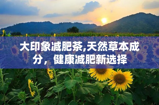 大印象减肥茶,天然草本成分，健康减肥新选择
