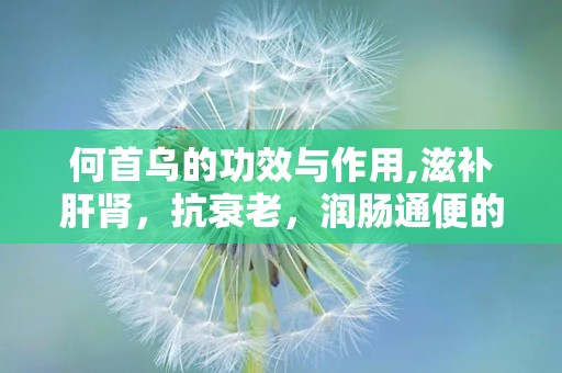 何首乌的功效与作用,滋补肝肾，抗衰老，润肠通便的天然良药