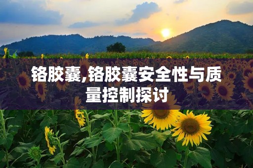铬胶囊,铬胶囊安全性与质量控制探讨