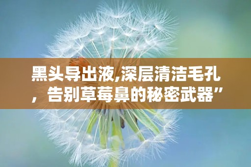 黑头导出液,深层清洁毛孔，告别草莓鼻的秘密武器”
