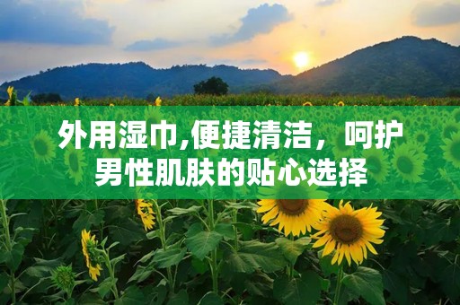 外用湿巾,便捷清洁，呵护男性肌肤的贴心选择
