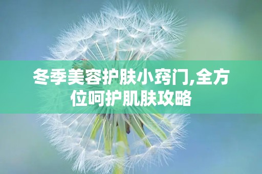 冬季美容护肤小窍门,全方位呵护肌肤攻略
