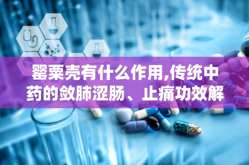 罂粟壳有什么作用,传统中药的敛肺涩肠、止痛功效解析