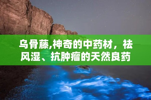 乌骨藤,神奇的中药材，祛风湿、抗肿瘤的天然良药