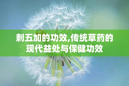 刺五加的功效,传统草药的现代益处与保健功效