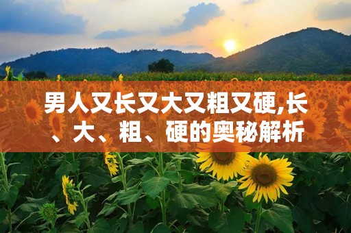 男人又长又大又粗又硬,长、大、粗、硬的奥秘解析