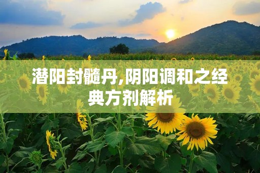 潜阳封髓丹,阴阳调和之经典方剂解析