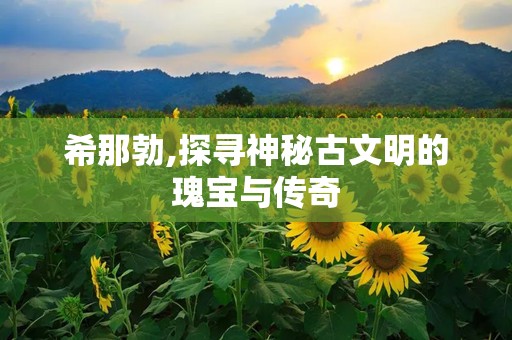 希那勃,探寻神秘古文明的瑰宝与传奇