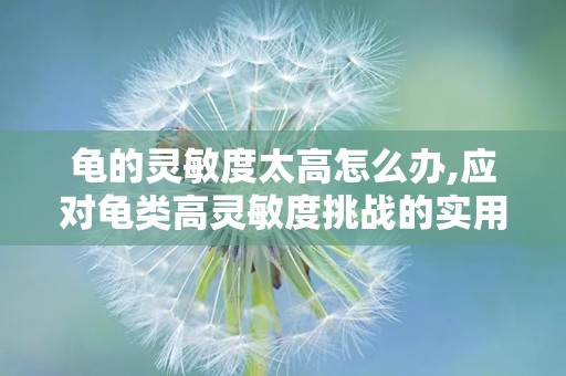 龟的灵敏度太高怎么办,应对龟类高灵敏度挑战的实用策略