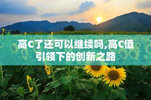 高C了还可以继续吗,高C值引领下的创新之路
