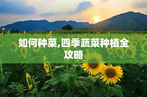 如何种菜,四季蔬菜种植全攻略