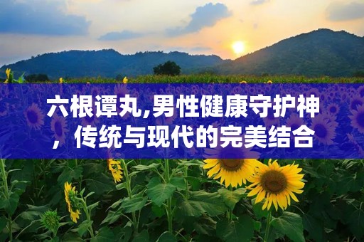六根谭丸,男性健康守护神，传统与现代的完美结合