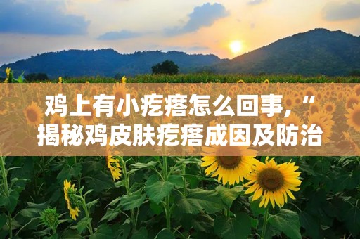 鸡上有小疙瘩怎么回事,“揭秘鸡皮肤疙瘩成因及防治方法”