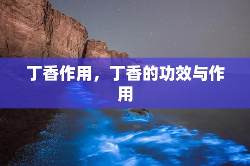 丁香作用，丁香的功效与作用