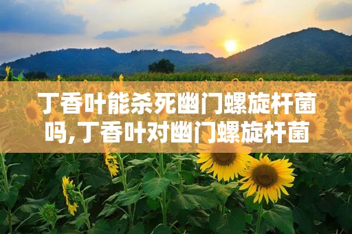 丁香叶能杀死幽门螺旋杆菌吗,丁香叶对幽门螺旋杆菌的抑制与治疗作用概述