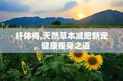 纤体梅,天然草本减肥新宠，健康瘦身之道