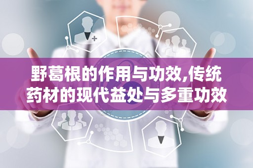 野葛根的作用与功效,传统药材的现代益处与多重功效解析