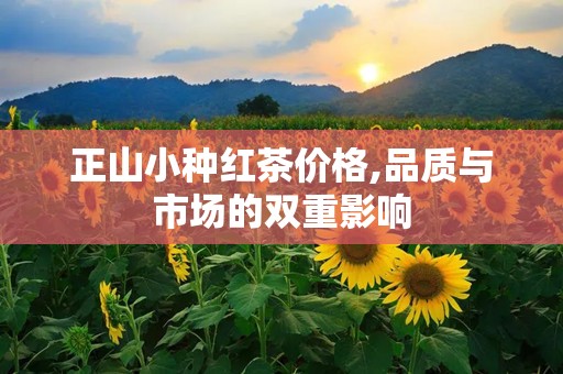 正山小种红茶价格,品质与市场的双重影响