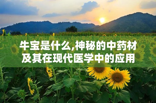 牛宝是什么,神秘的中药材及其在现代医学中的应用