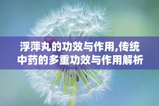 浮萍丸的功效与作用,传统中药的多重功效与作用解析