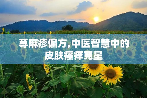 荨麻疹偏方,中医智慧中的皮肤瘙痒克星