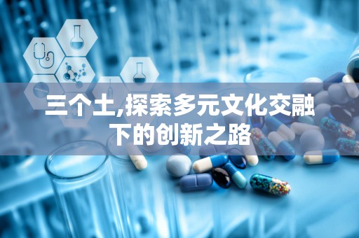三个土,探索多元文化交融下的创新之路