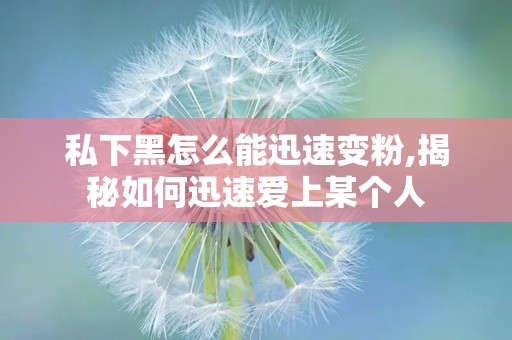 私下黑怎么能迅速变粉,揭秘如何迅速爱上某个人