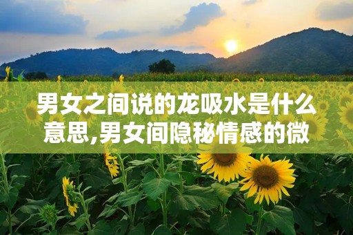 男女之间说的龙吸水是什么意思,男女间隐秘情感的微妙暗示