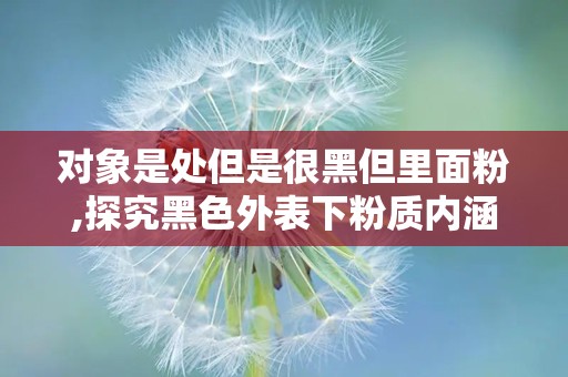 对象是处但是很黑但里面粉,探究黑色外表下粉质内涵的奥秘