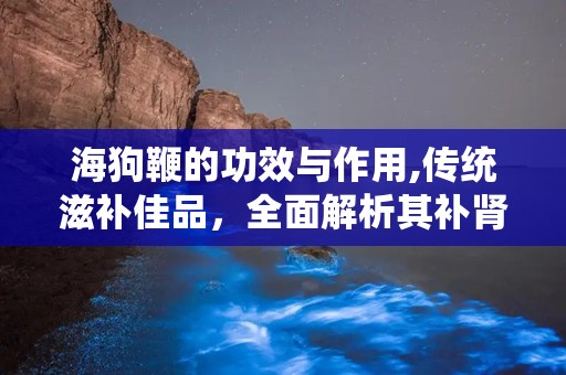 海狗鞭的功效与作用,传统滋补佳品，全面解析其补肾壮阳、养颜美容等多重功效”