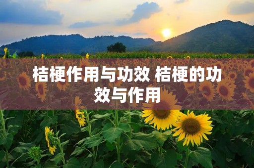 桔梗作用与功效 桔梗的功效与作用