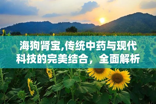 海狗肾宝,传统中药与现代科技的完美结合，全面解析其功效与作用