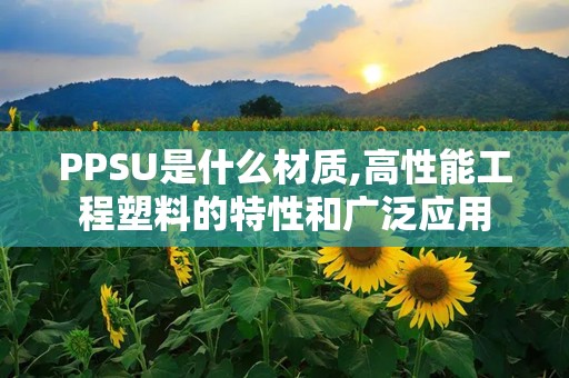 PPSU是什么材质,高性能工程塑料的特性和广泛应用