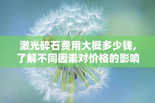 激光碎石费用大概多少钱,了解不同因素对价格的影响”