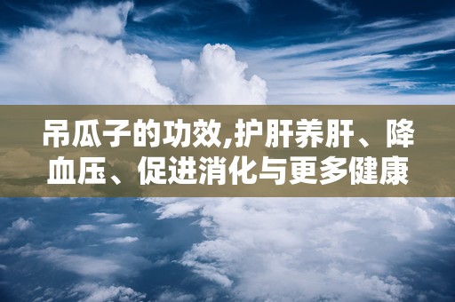 吊瓜子的功效,护肝养肝、降血压、促进消化与更多健康益处”