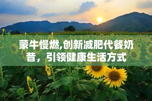 蒙牛慢燃,创新减肥代餐奶昔，引领健康生活方式