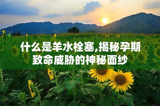 什么是羊水栓塞,揭秘孕期致命威胁的神秘面纱