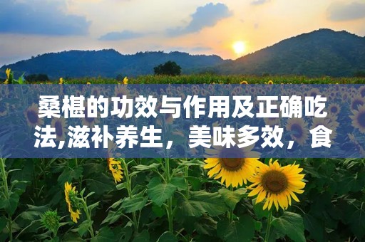 桑椹的功效与作用及正确吃法,滋补养生，美味多效，食用指南大全