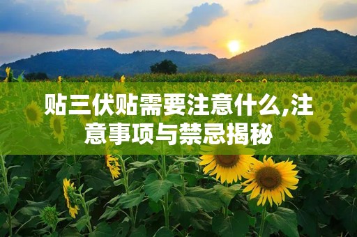 贴三伏贴需要注意什么,注意事项与禁忌揭秘