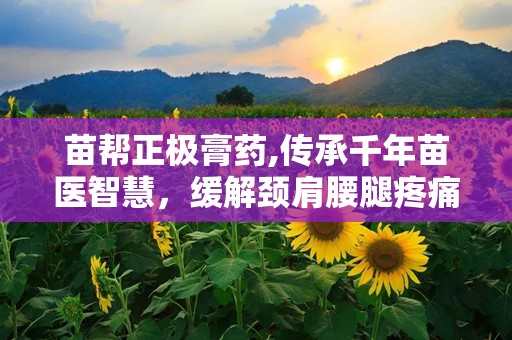 苗帮正极膏药,传承千年苗医智慧，缓解颈肩腰腿疼痛的神奇良药”